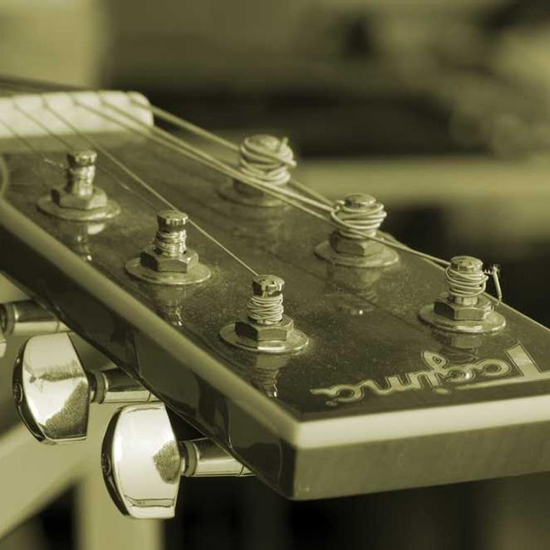 Shared Horizon Network