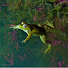 zB1pJkOzV8I-channel-avatar-sweetrocket