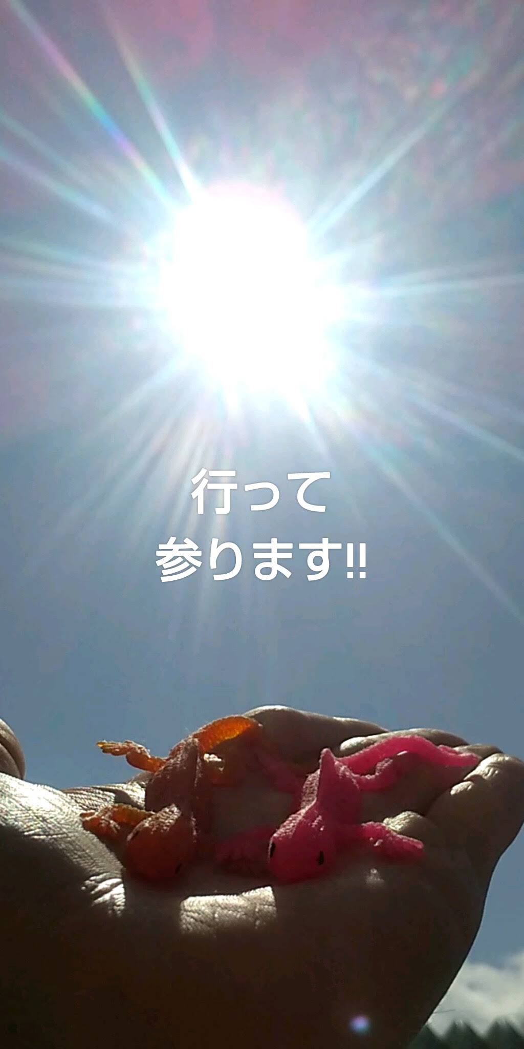 【未開封】14th anniversary LIVE 届け届け君の所へ Kra YouTube