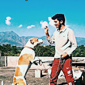 Hire Rocky The Pitbull — Pets & Animals YouTube creator for sponsorships