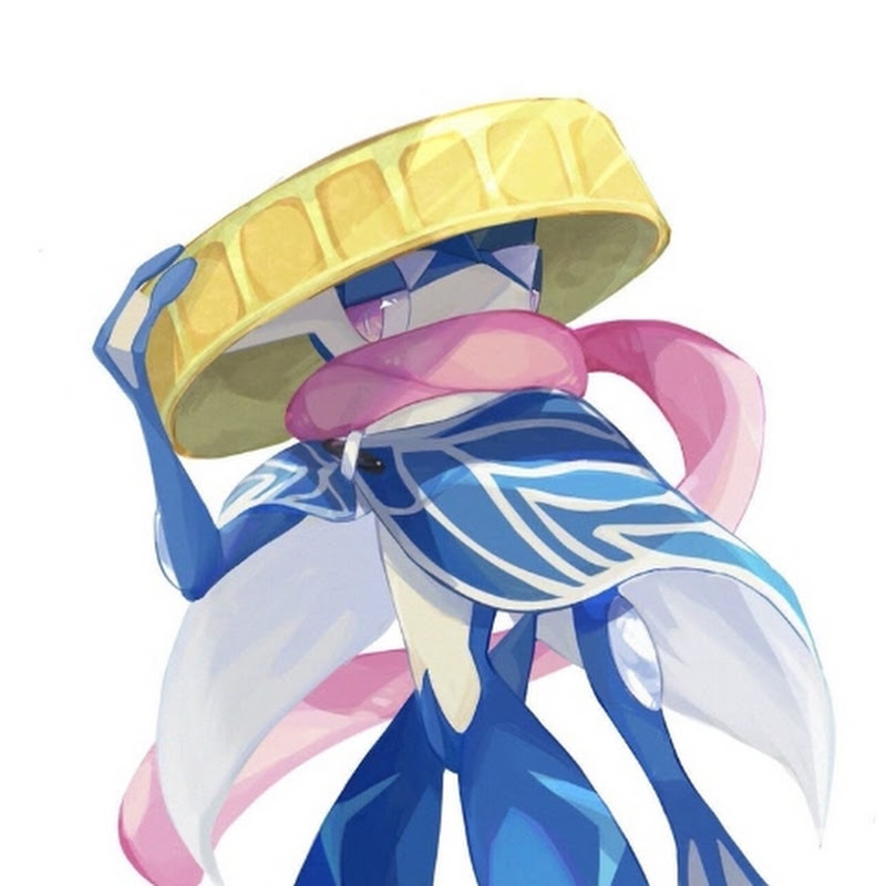 ꧁⎝ 𓆩GSS_GRANINJA𓆪 ⎠꧂