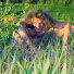 EeE9TYqzw6o-channel-avatar-Григорий