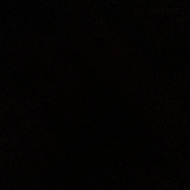 The Fanatics Network