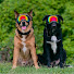 Szwi_8jcpVk-channel-avatar-The Tails of Ajax & Fenrir