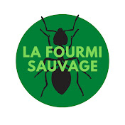 La Fourmi Sauvage 🐜