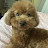 @소풍-f8h