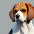 w7xUXd2Kj1Q-channel-avatar-I like beagles