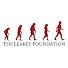 TnlZwfD-GiU-channel-avatar-The Leakey Foundation