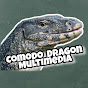 ComodoDragon Multimedia
