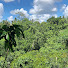 MyckghtRxPU-channel-avatar-Life.In.The.Village
