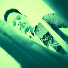 uf8jNcmkPTE-channel-avatar-Sagor Khan