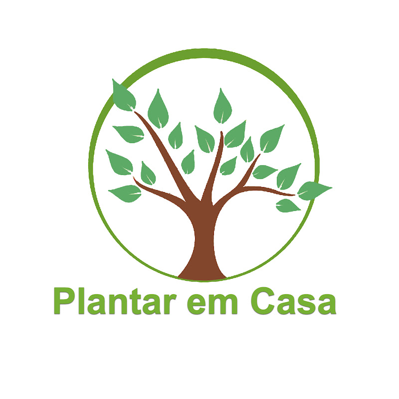 Plantar em Casa
