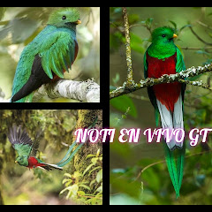 NOTI EN VIVO GT