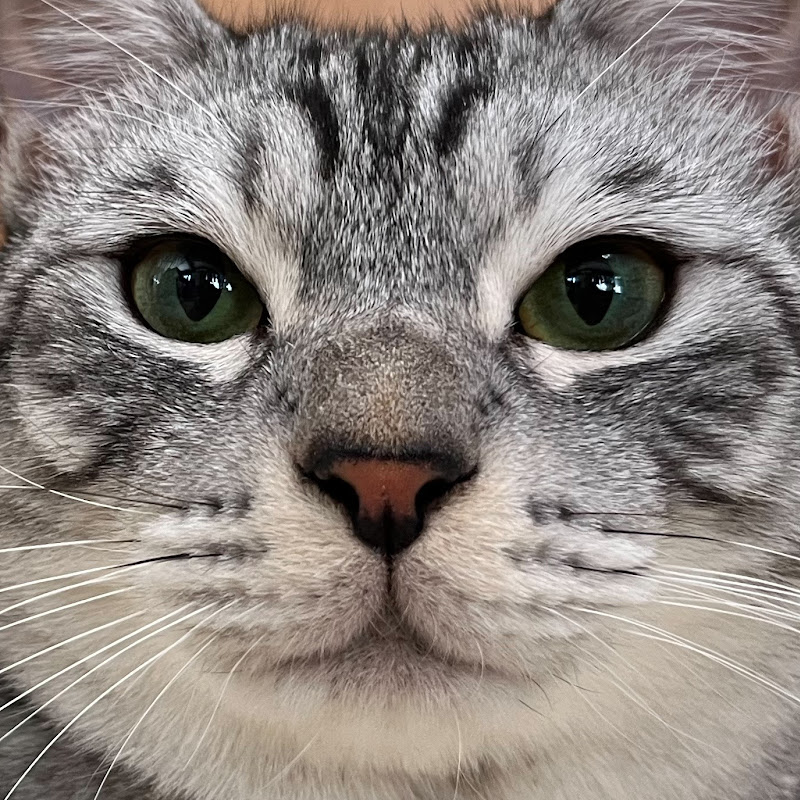 9キロぴなの日常