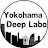 Yokohama Deep Labo 【横浜市民のための横浜観光】