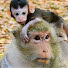 ndtB0OGKUO8-channel-avatar-Nature Life