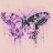 Purple Butterfly with a broken wing