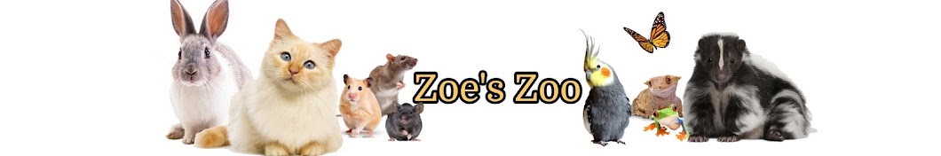 Zoe's Zoo Avatar del canal de YouTube