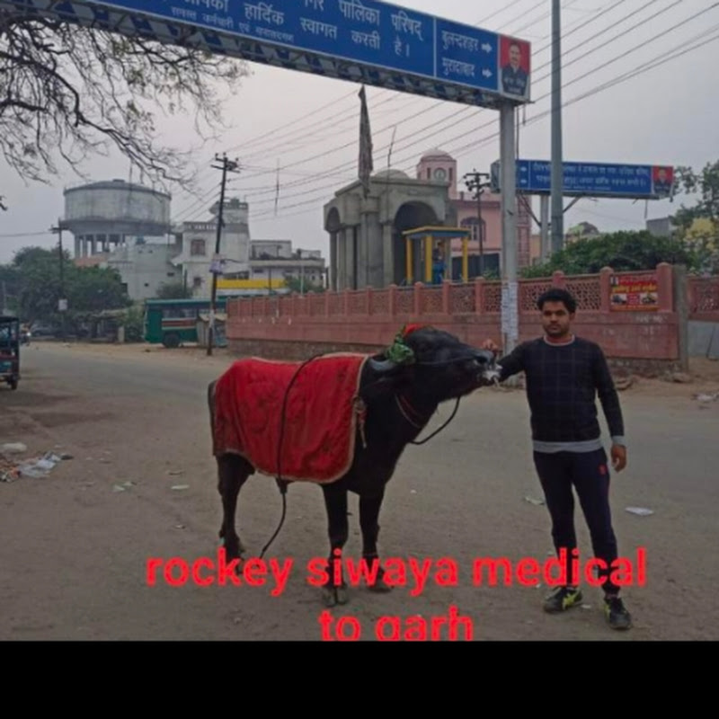 rocky siwaya jhota race