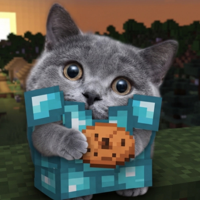CraftyCats