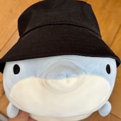 イルカ工房