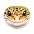 1FtnesRS4cs-channel-avatar-Reptiles & Exotics