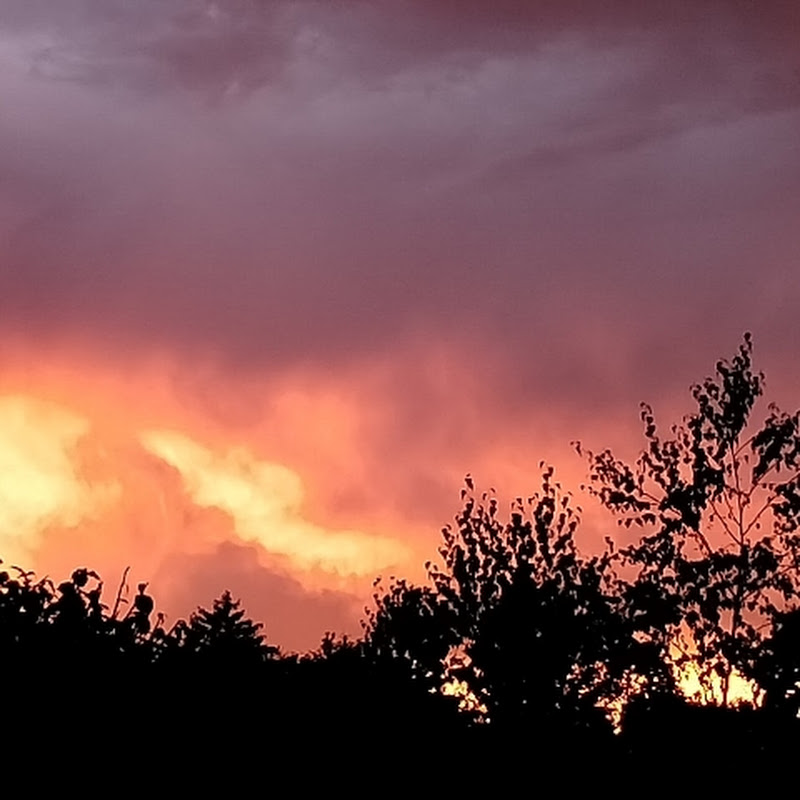 Happy-To-Da-Max Bunny Love