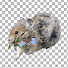 AI0pKzEc3uY-channel-avatar-Alpine Pika