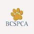 f8WKpIrHevM-channel-avatar-BC SPCA (BCSPCA Official Page)