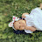 @hayetfemmedesofiane7489