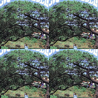 thumbnail img1x1