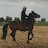 ابو هاجر abouhajar-ترويض الخيل