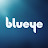 Blueye Robotics