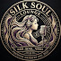 I9OBxVbSATA-channel-avatar-Silk Soul Lounge