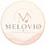 Z3Vn80aoBd0-channel-avatar-Melovio