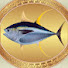 crOdF76ki08-channel-avatar-Master Som