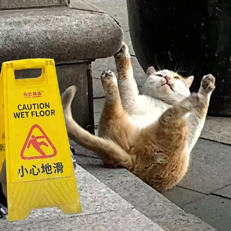 Post from 你在看啥