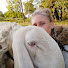 QHVSECWA53c-channel-avatar-Wild Family Farm