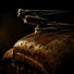 y5bDwfHFWGg-channel-avatar-The Forgotten Lane