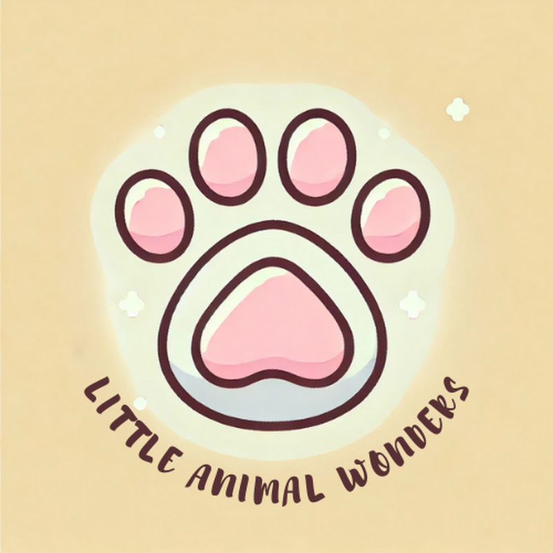 Little Animal Wonders