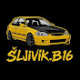 ŠLJIVIK RACING logo