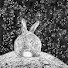 Y2Sd9NXRNCU-channel-avatar-Lapin Lunaire