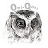7GVOTKbZoLQ-channel-avatar-Owl-Quest