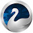 @CygnusTau Avatar