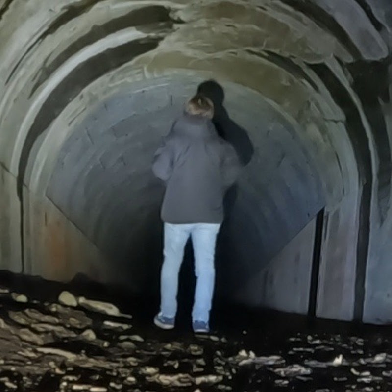 まめCHANNELのサムネイル