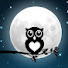W0u8GMsfSZQ-channel-avatar-The Owl Moon Tarot