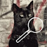 wBnb43BGw7g-channel-avatar-Chits & Pieces 