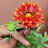 @AmritKanwar-g4z Avatar
