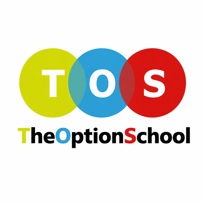 THE OPTION SCHOOL