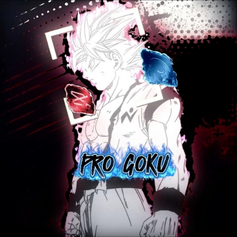 PRO GOKU